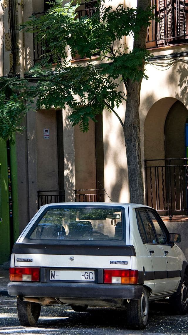 Citroen Visa