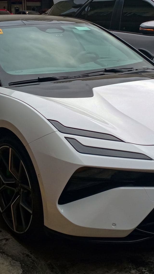 Lotus Emeya