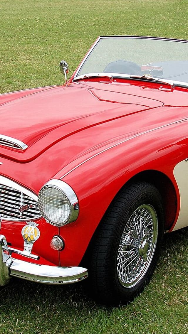Austin-Healey 100