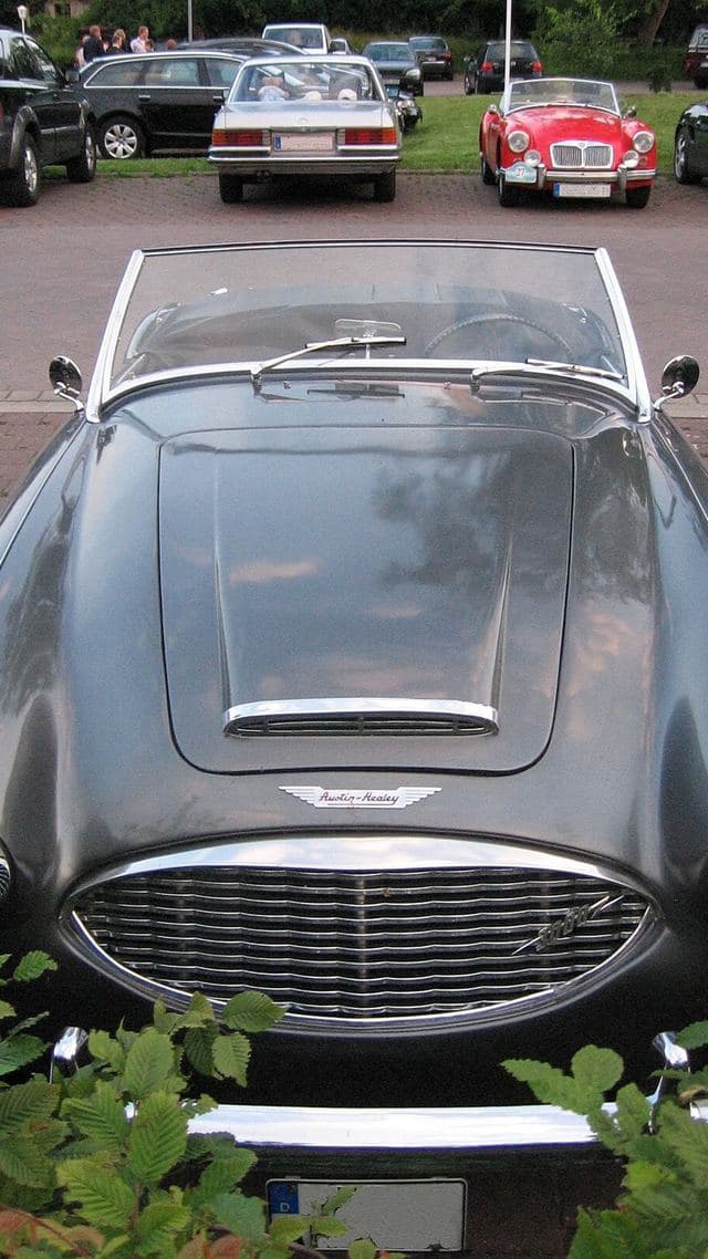 Austin Healey