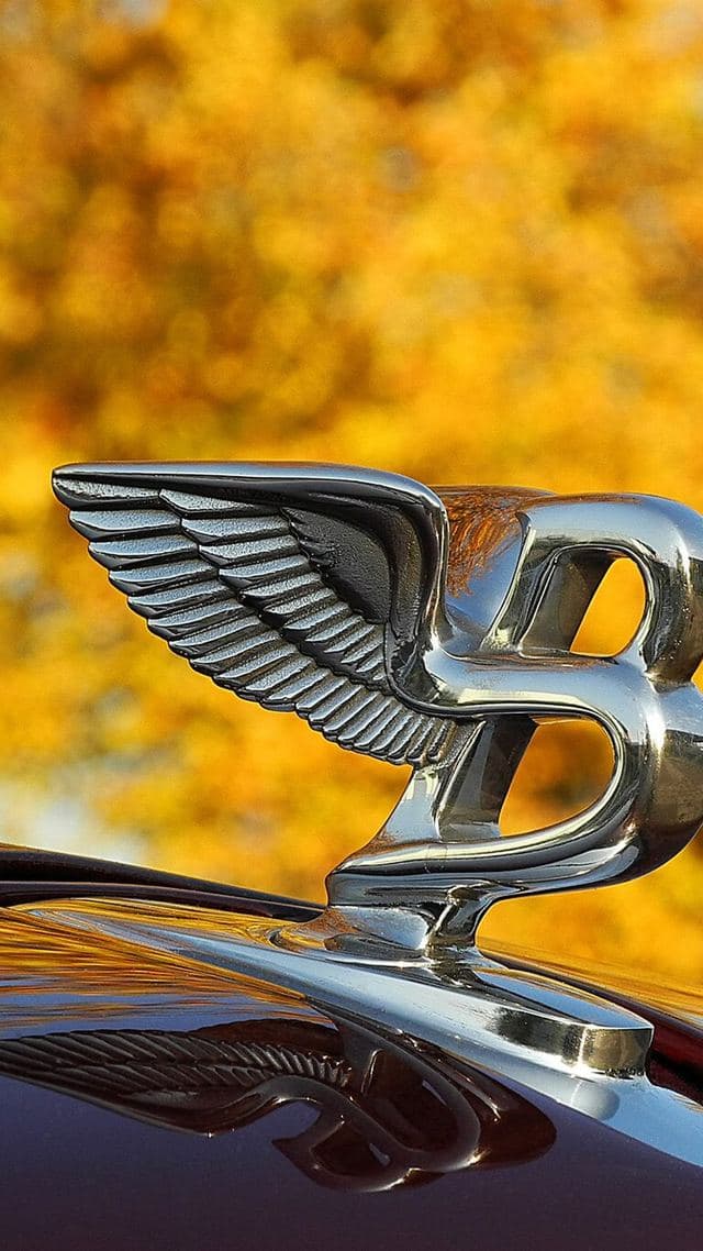 Bentley Arnage
