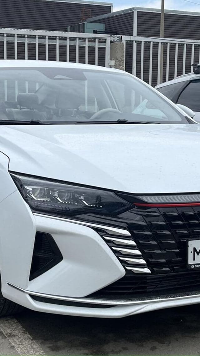 Dongfeng Shine