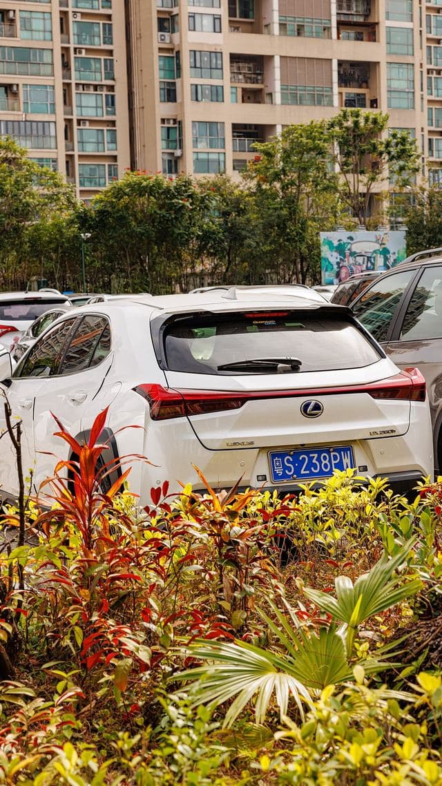 Lexus UX 250h