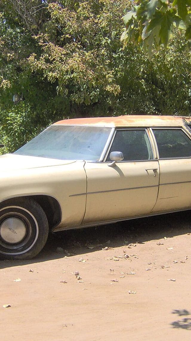 Oldsmobile Custom Cruiser