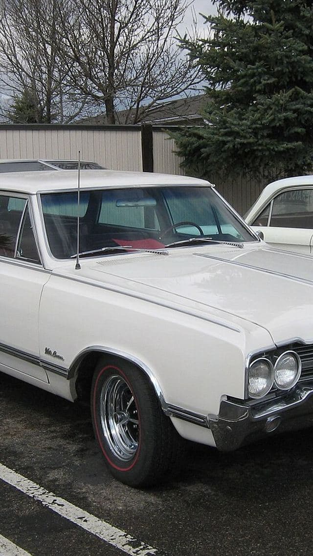 Oldsmobile Vista Cruiser
