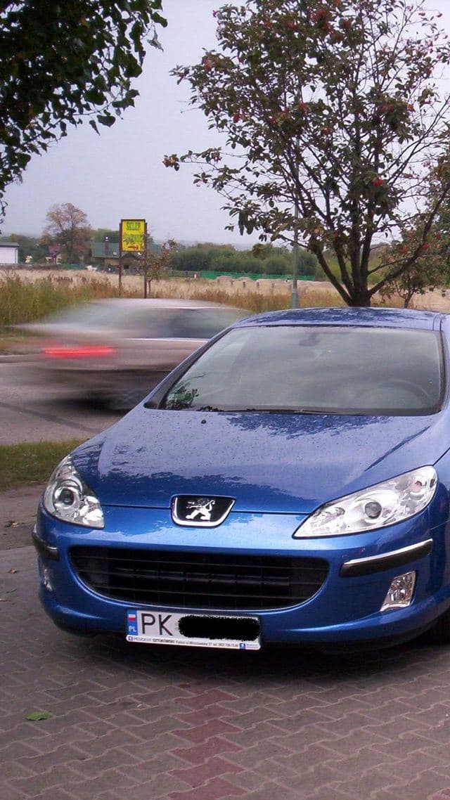 Peugeot 407