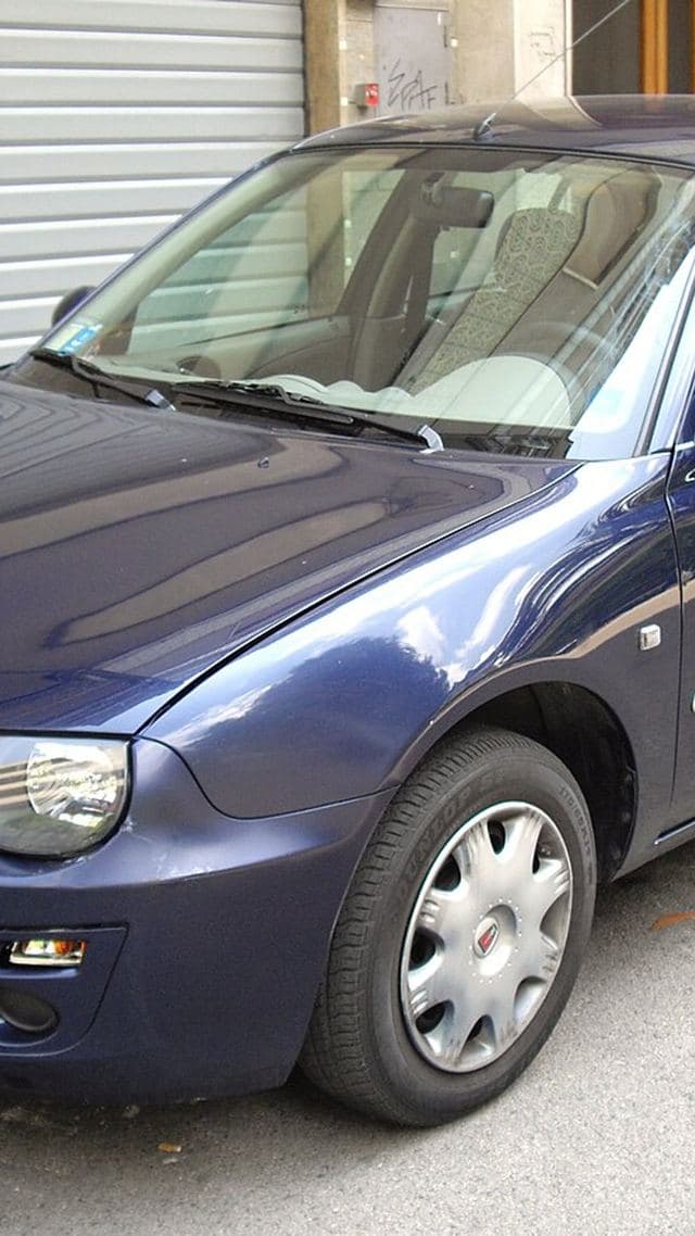 Rover 25