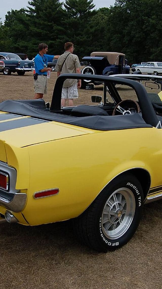 Shelby GT 350