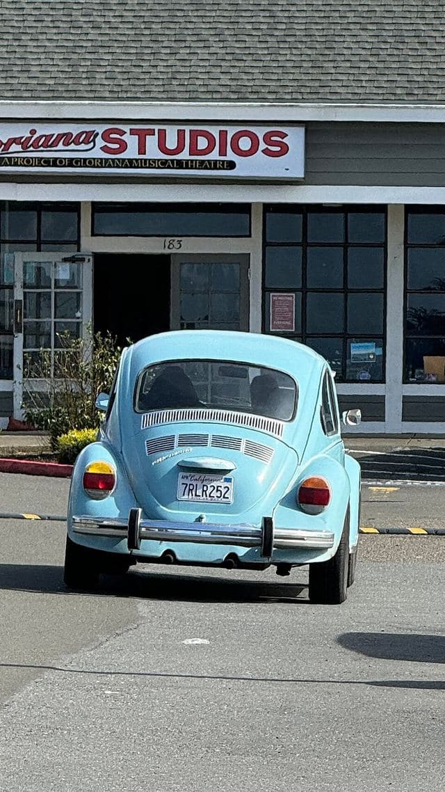 Volkswagen Beetle