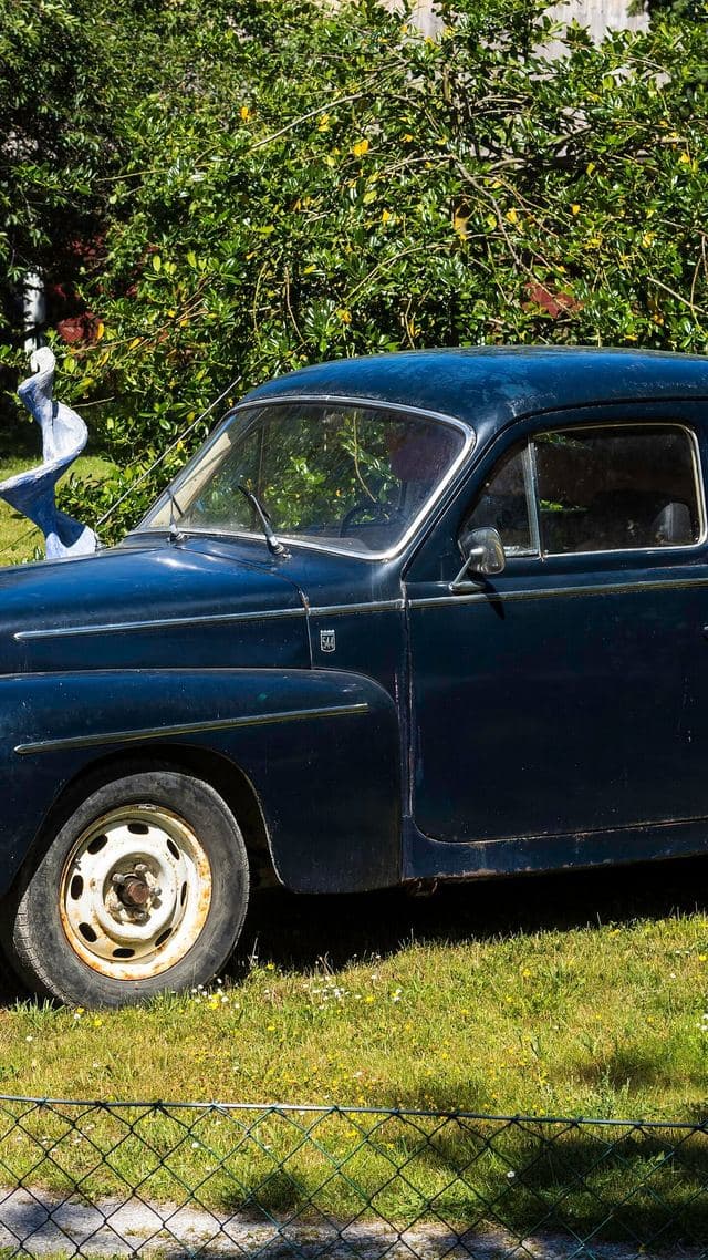 Volvo PV544